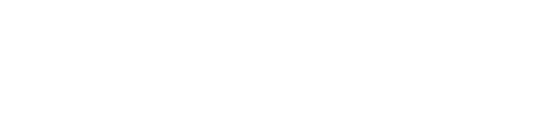 International Association of Chief AI Officers